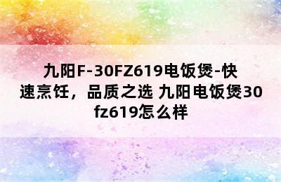 九阳F-30FZ619电饭煲-快速烹饪，品质之选 九阳电饭煲30fz619怎么样